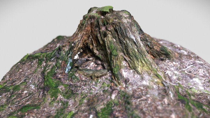 Tree Stump4v1 3D Model