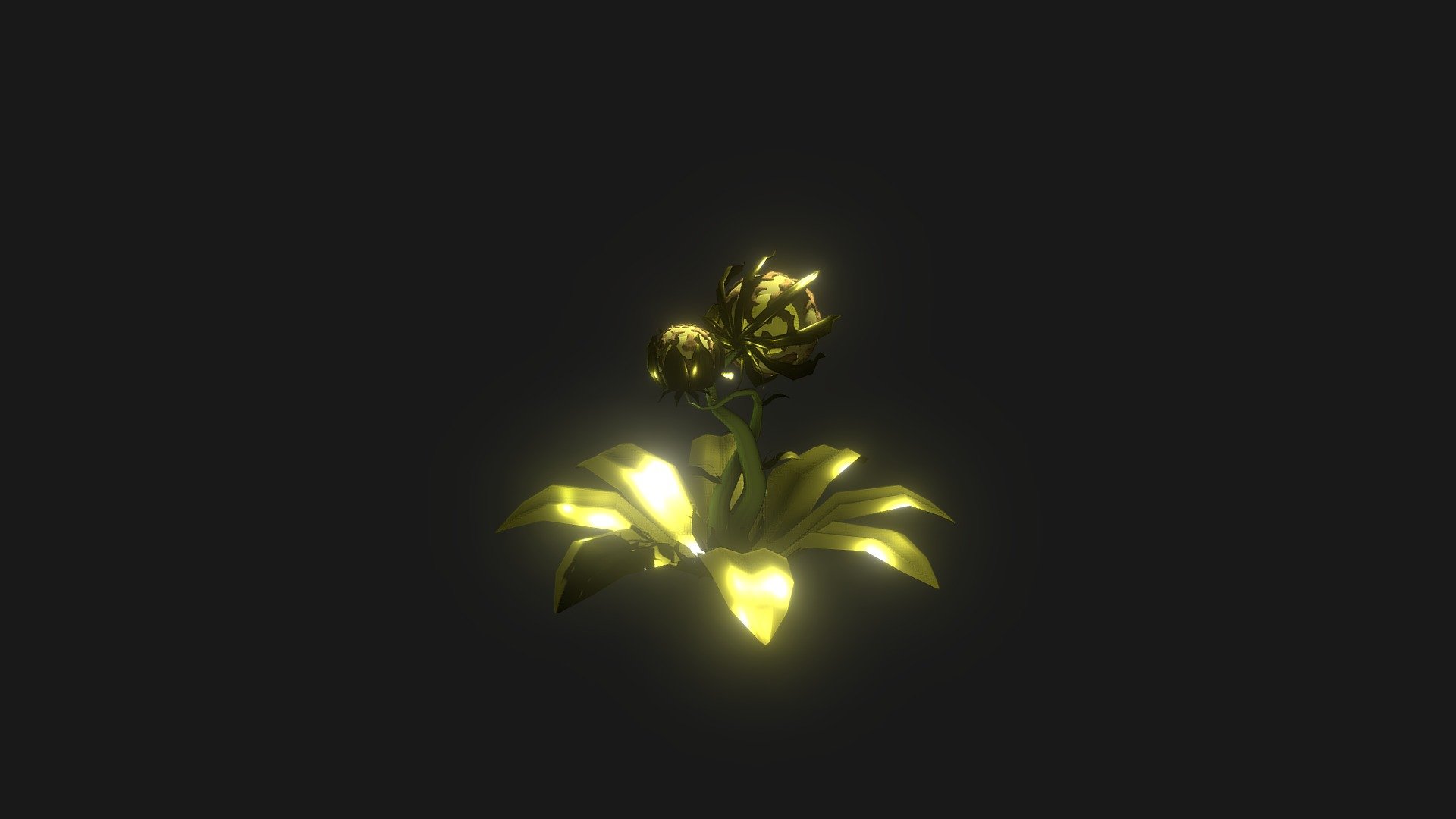 Flor Dorada