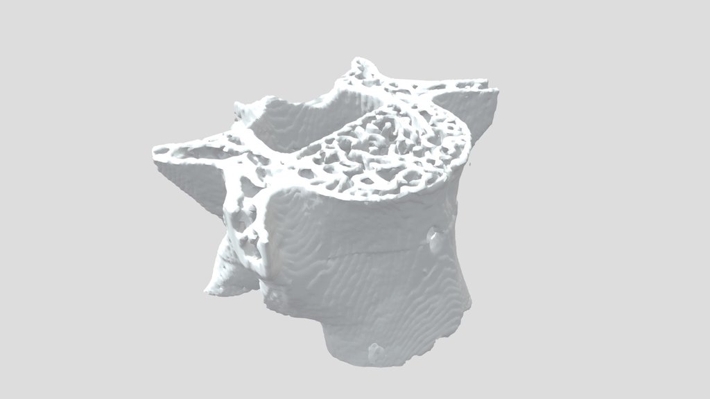 Mouse vertebra rendering
