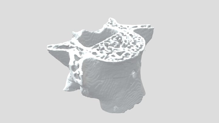 Mouse vertebra rendering