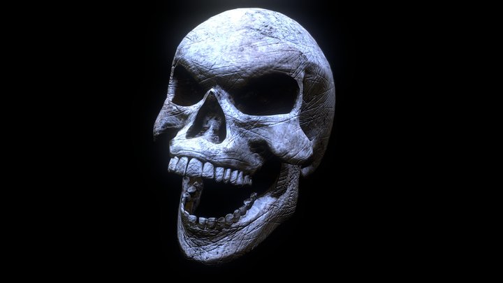Skull 3D Model