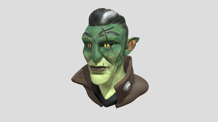 Fjord bust 3D Model