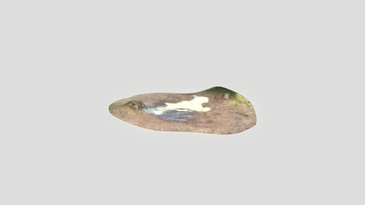 Porridge In The Forest 3D Model
