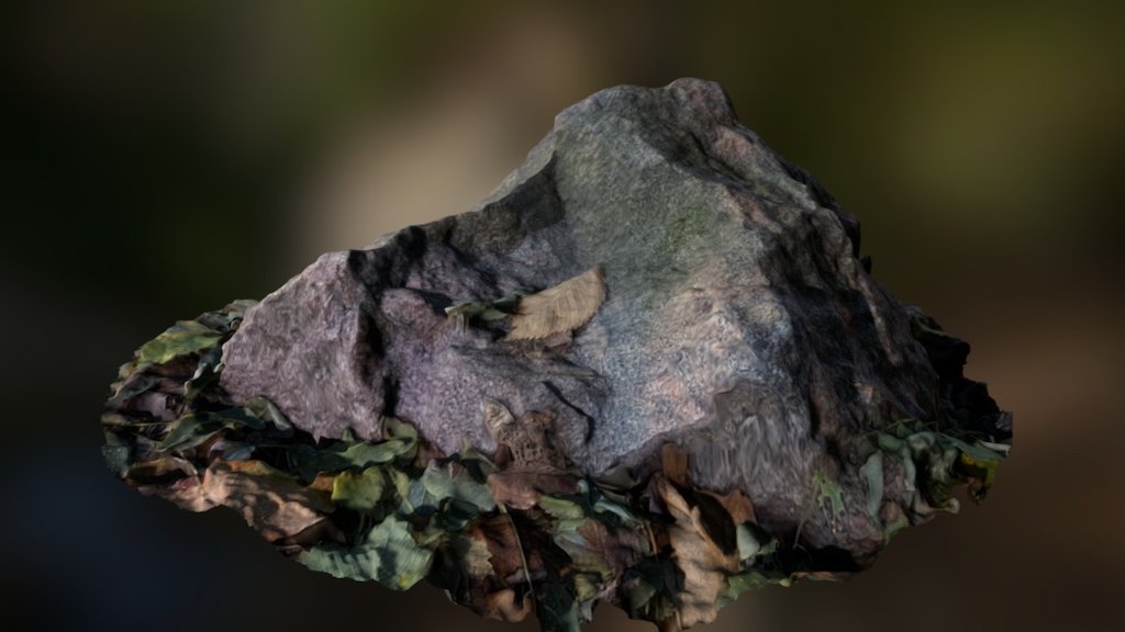 Small rock 2