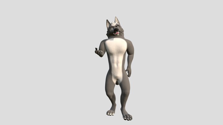 Grey Wolf 3D Model