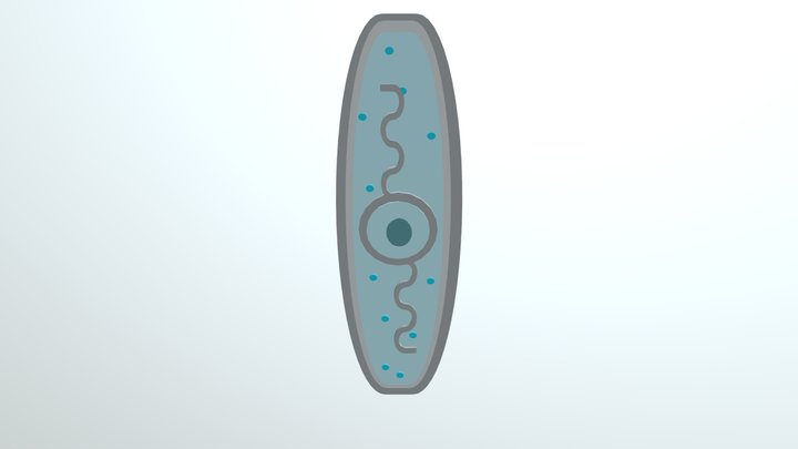 microughs_Bacillus Anthracis_JCM,ARC,NMA 3D Model