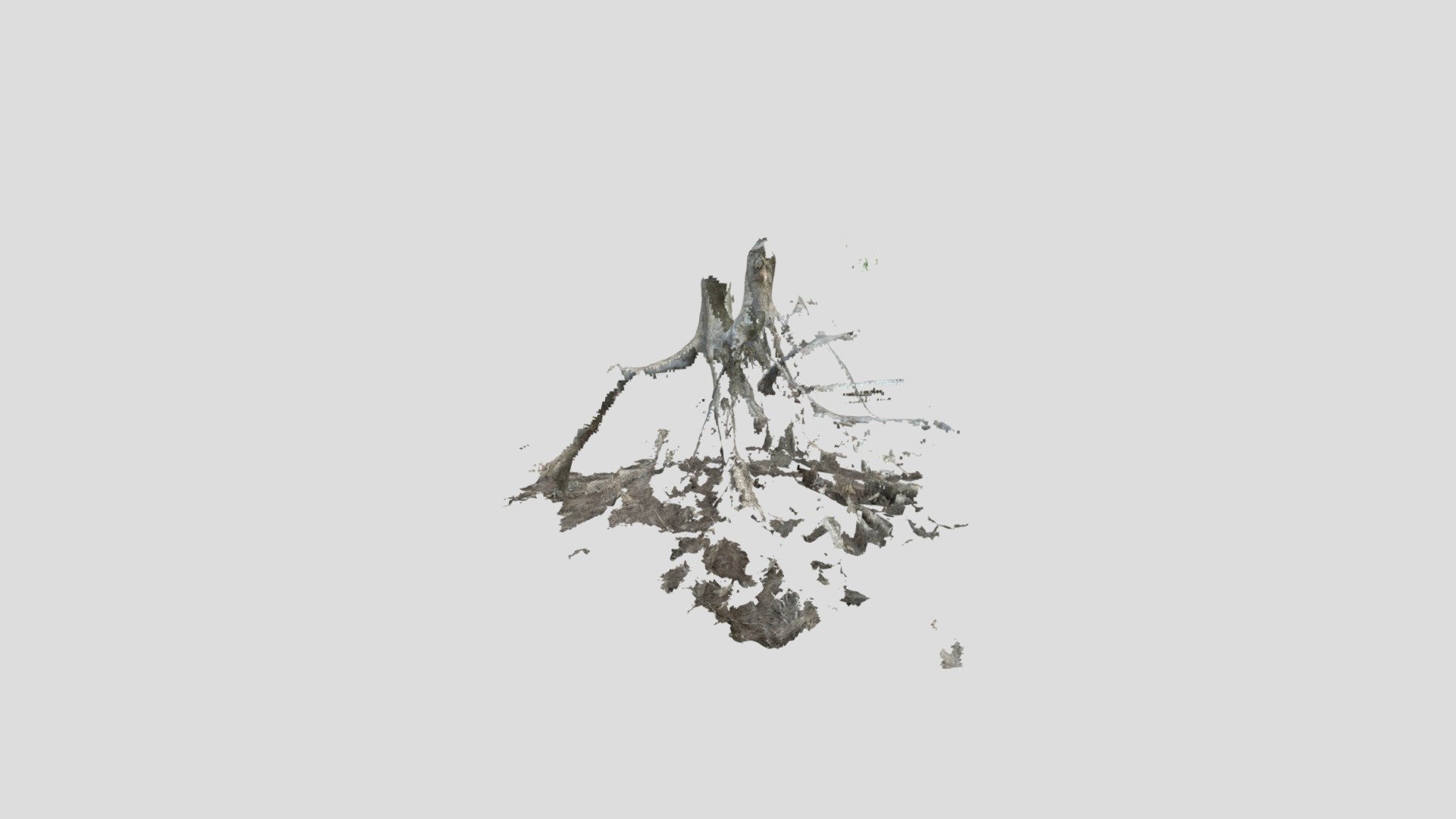 stump