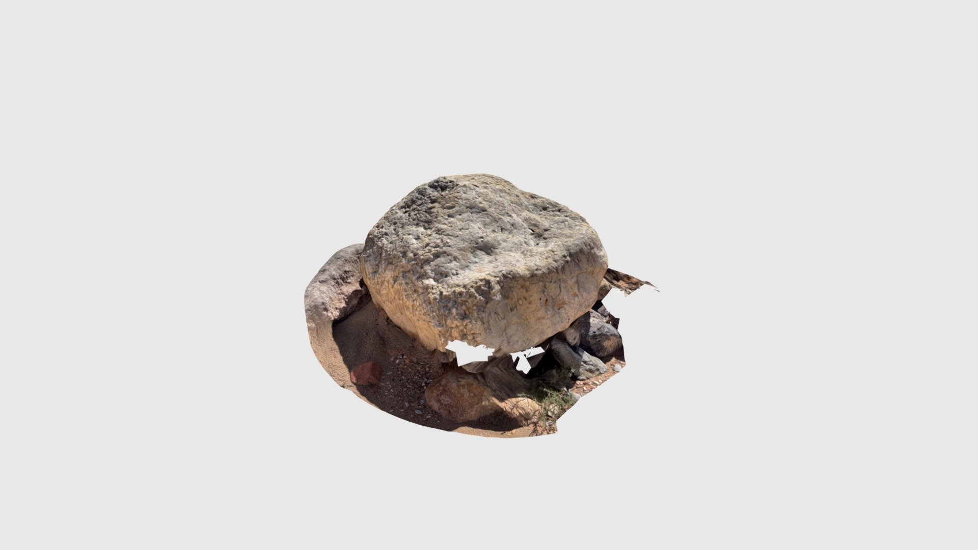 Coal Creek Ichnofossil Boulder (Cretaceous)