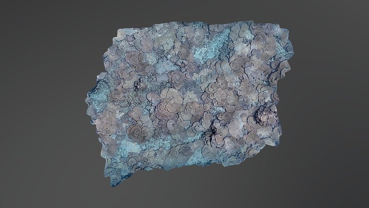 French Frigate Shoals: Site R16 Transect 1 3D Model