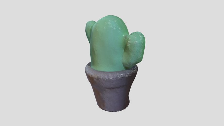 cactos 3D Model