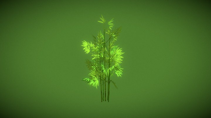 Bamboo Bush 3D Model