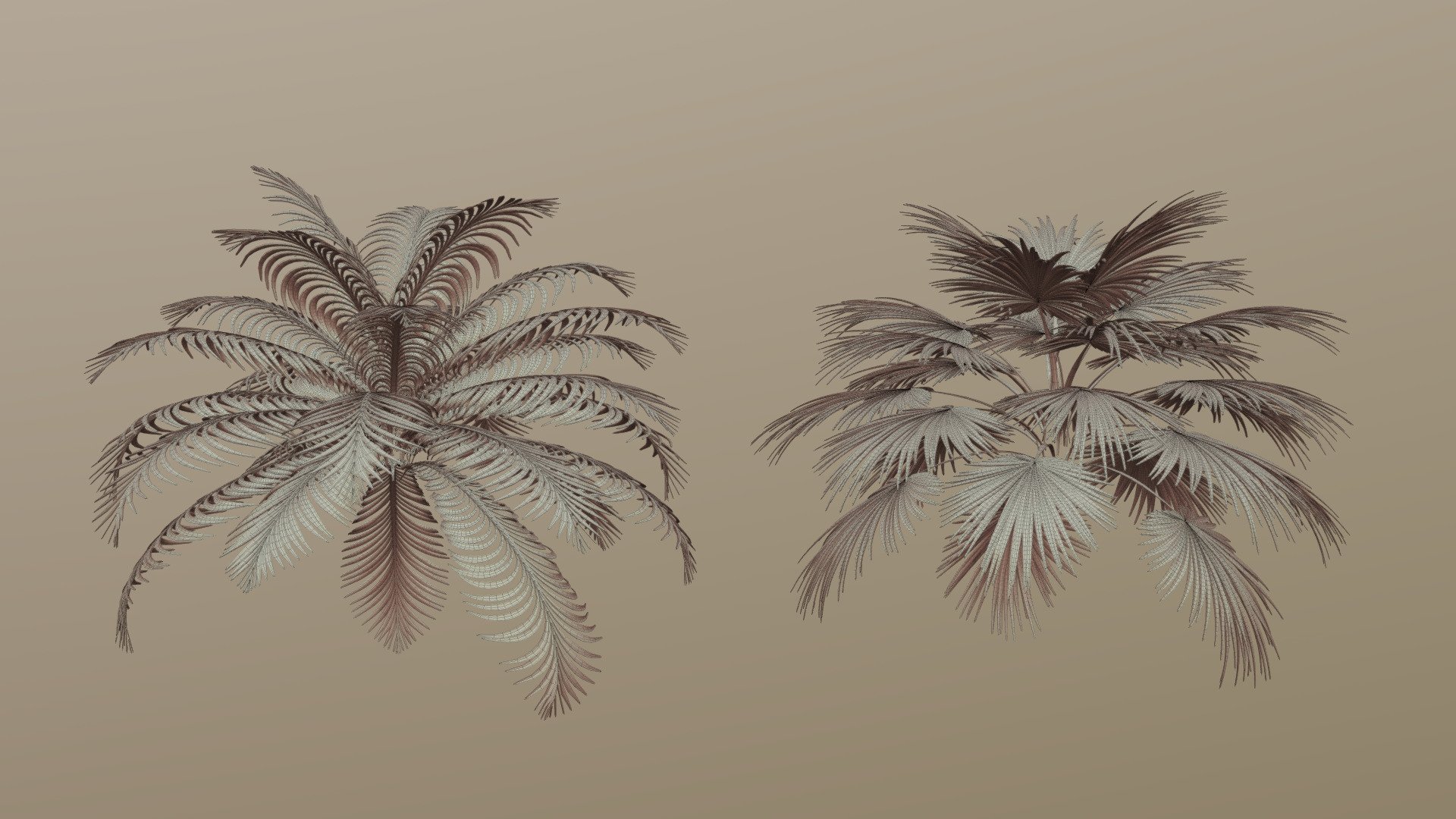 L-System Palm