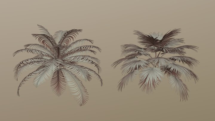 L-System Palm 3D Model