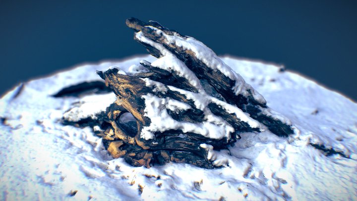 snow covered stump 3D Model