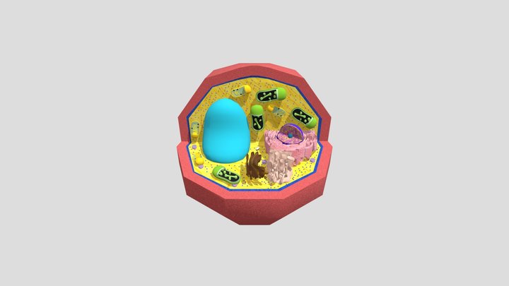 eve3d-celula-eucariota-vegetal 3D Model
