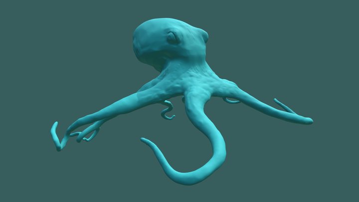 Octopus Sculpt ~ The Kraken 3D Model