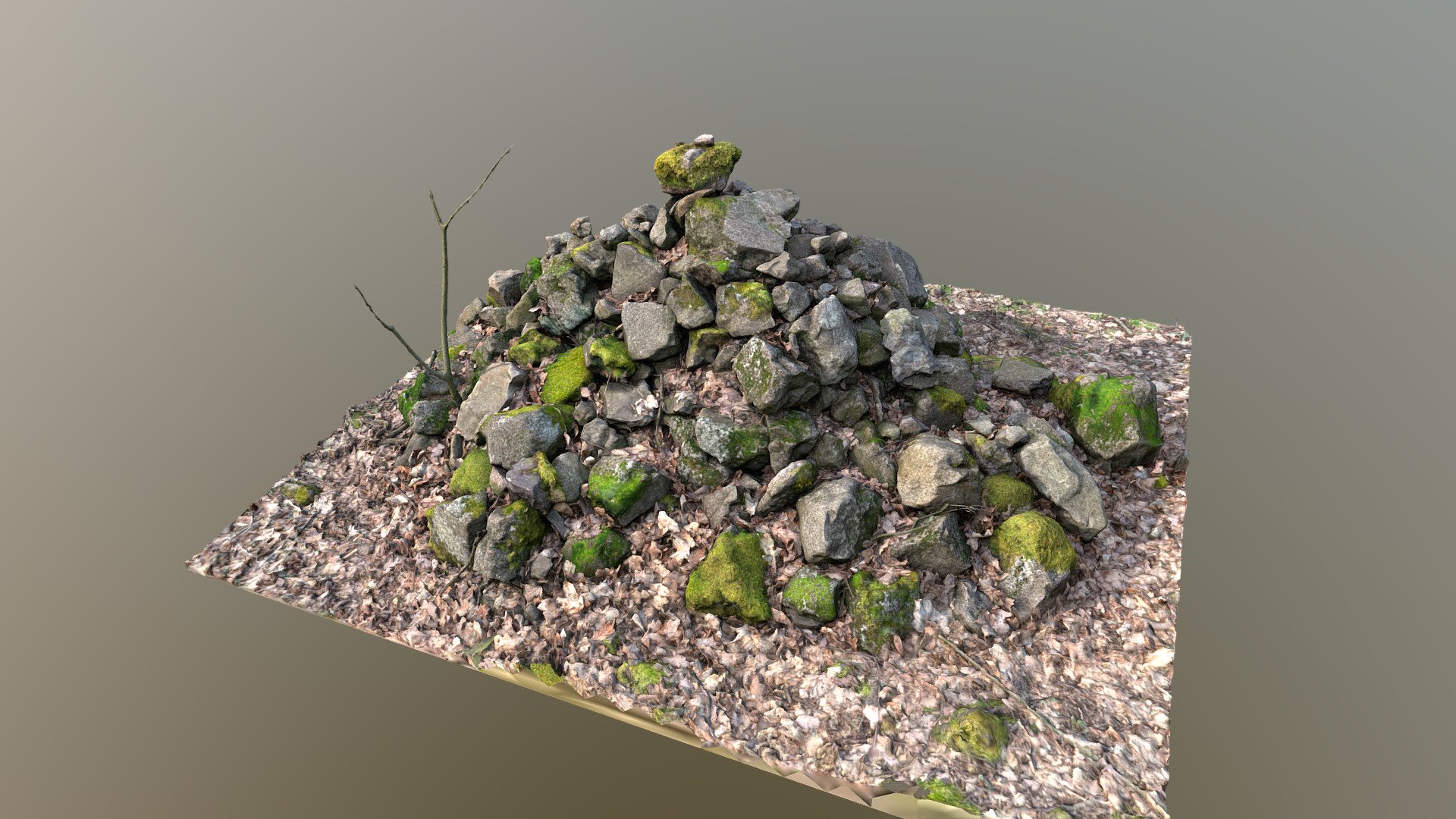 Heap of stones in forest