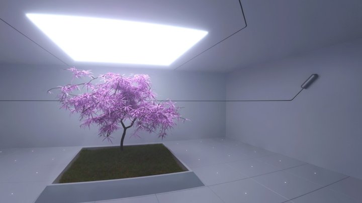 The Last Sakura 360 3D Model