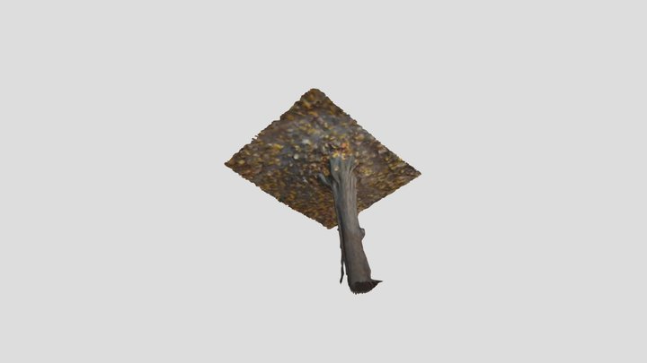 Tree 3D Model