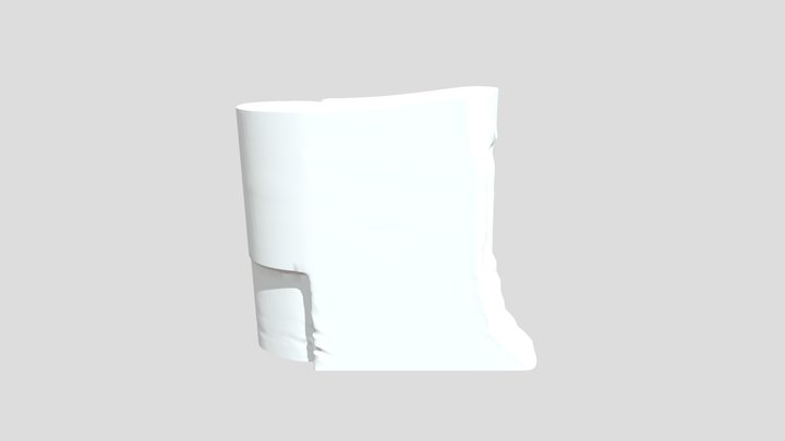 ProjectI.I_rhinomodel_Carolena 3D Model