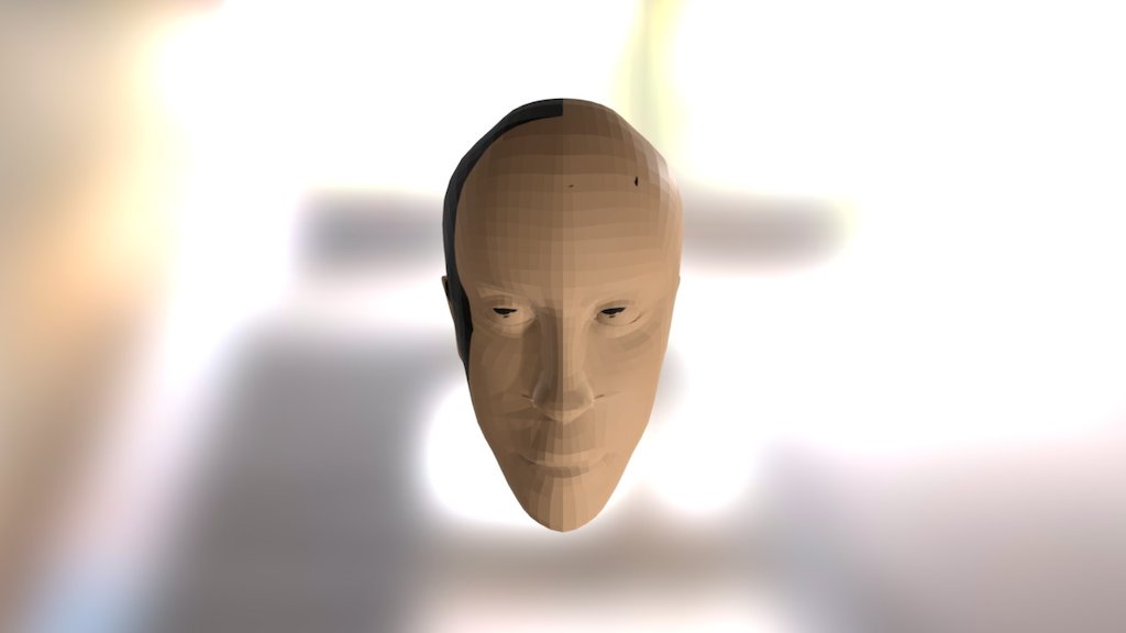 Head Modling