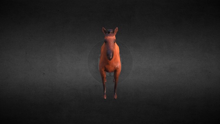 caballo low 3D Model