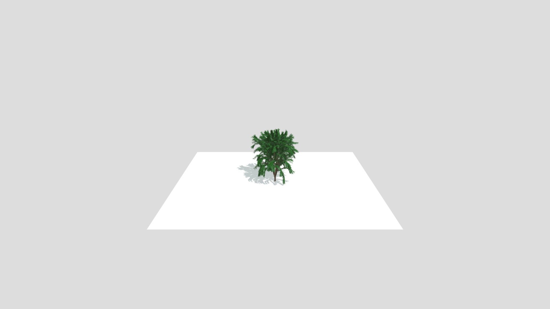 Arbol