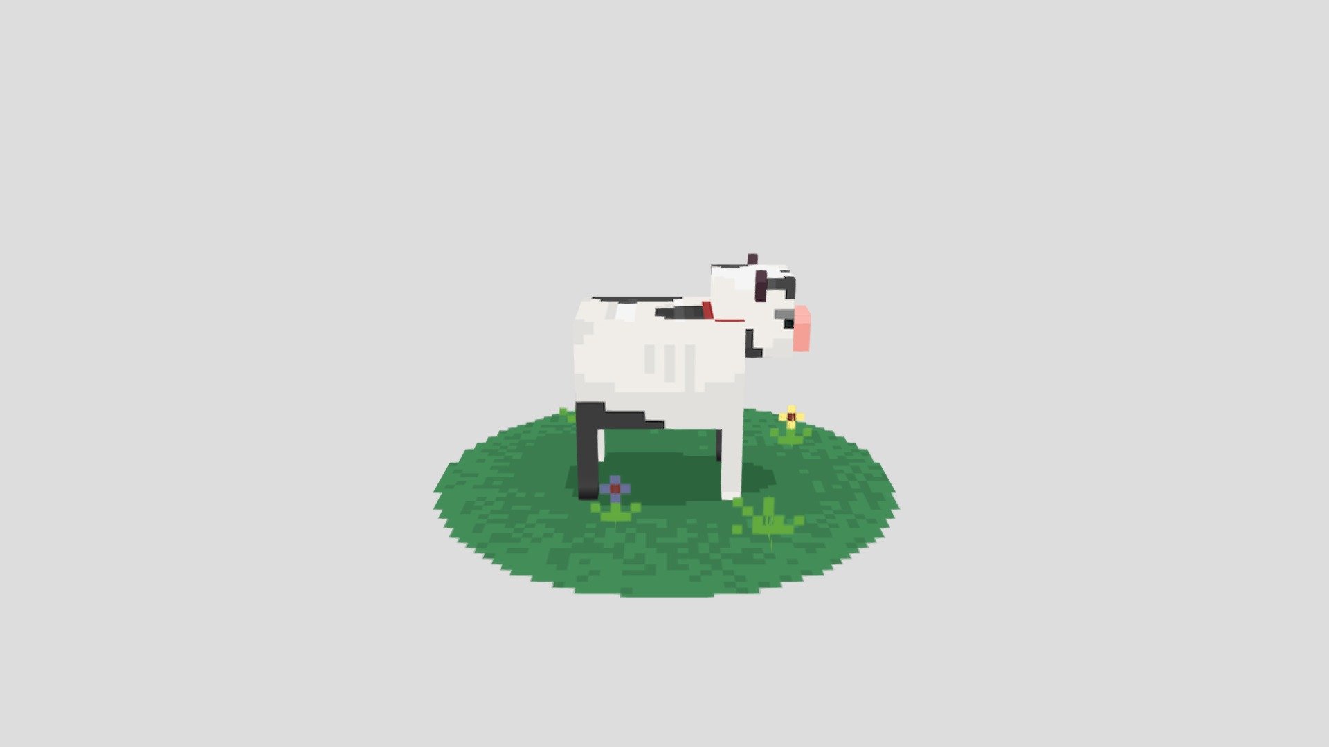 Cow