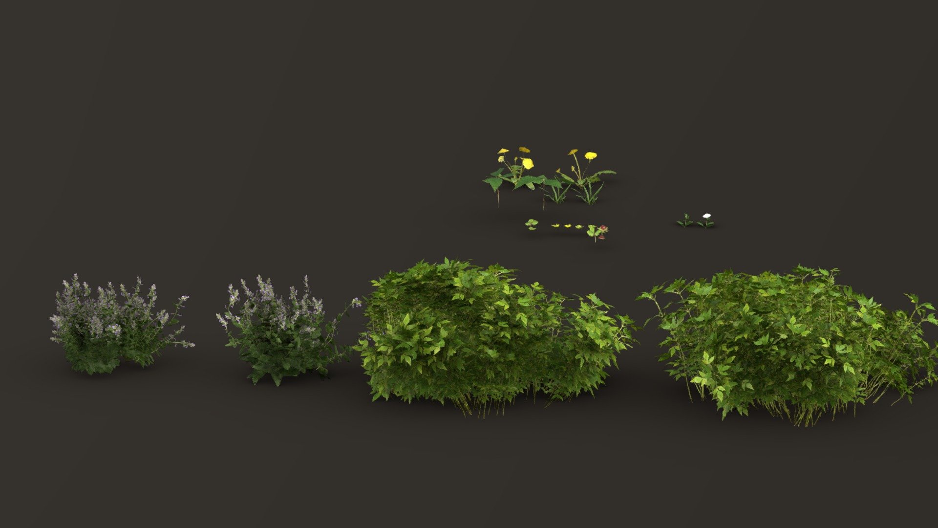Scanned Plants and Grass (Free Download) — Sketchfab embed 3D viewer