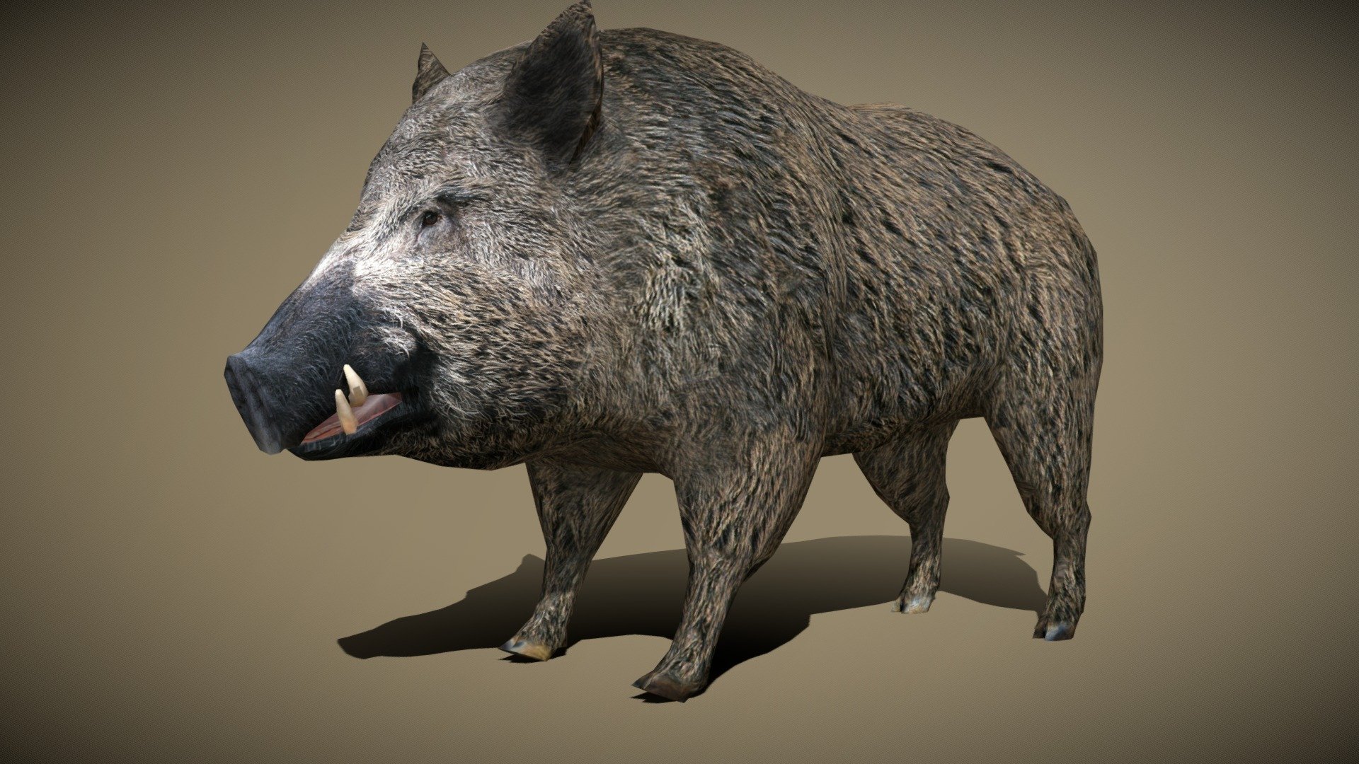 3DRT - wild animals - boar - Buy Royalty Free 3D model by   (@) [d1015e2]