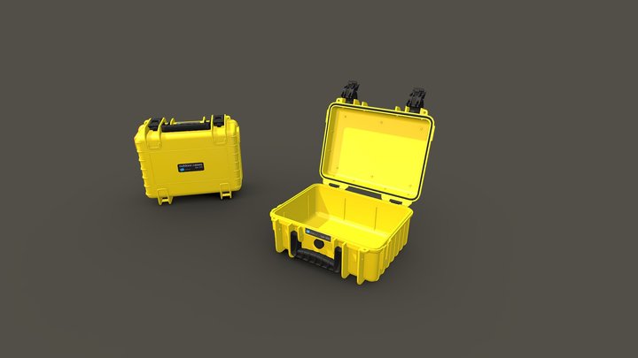 Case Type 3000 3D Model