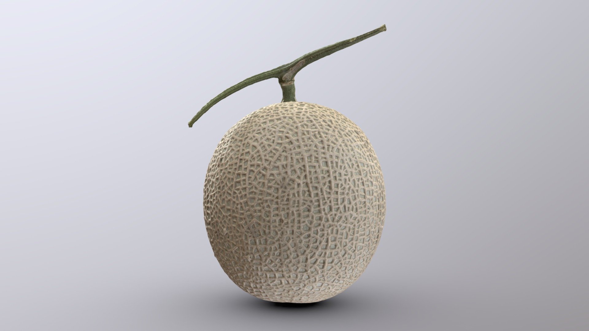 Earl's Favourite Melon - Download Free 3D model by masanaga (@tasklong)  [d10828a]