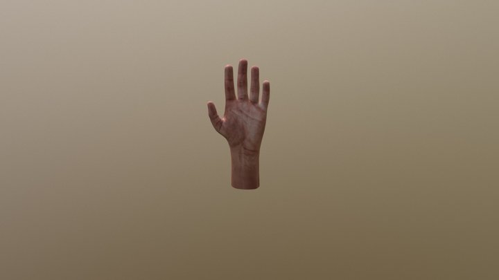 SignLanguageTool - Sketchfab