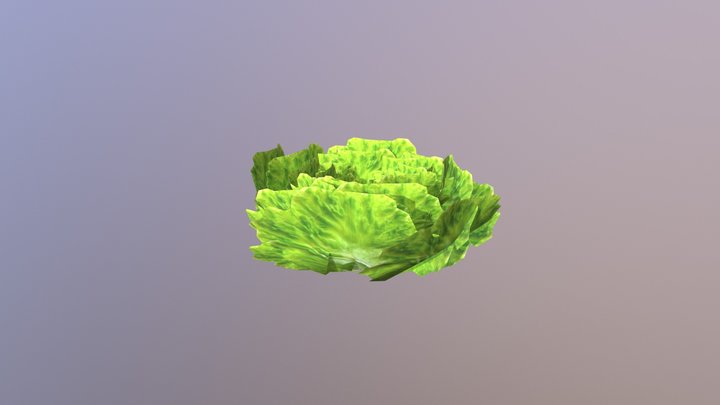 Salat 3D Model