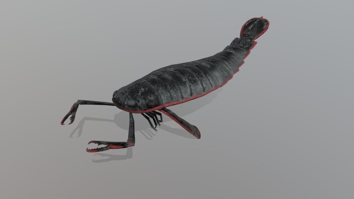 Pterygotus 3D Model