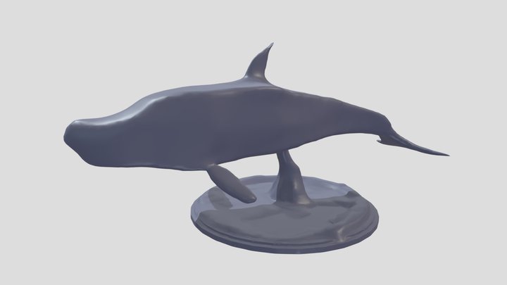 Dolphin on a Pedestal 3D Model