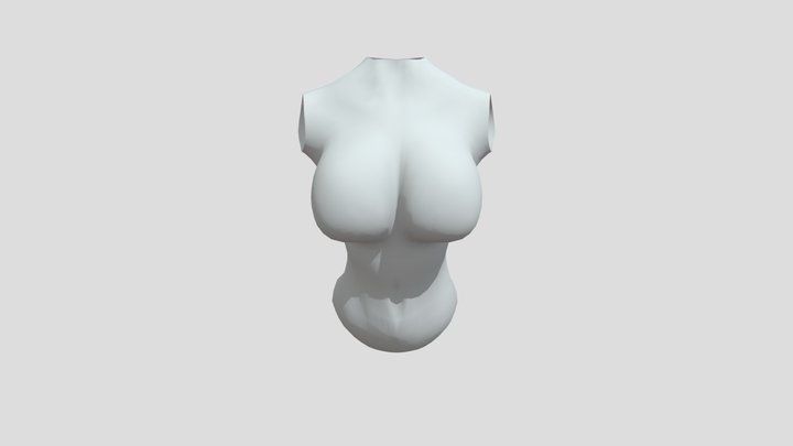 female Torso 3D Model