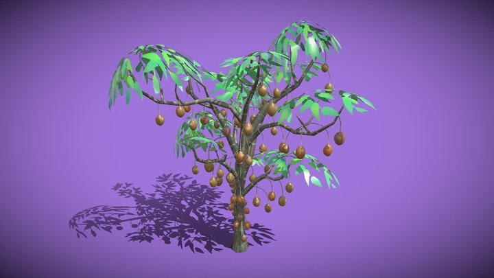 Brazil Nut Tree 3D Model