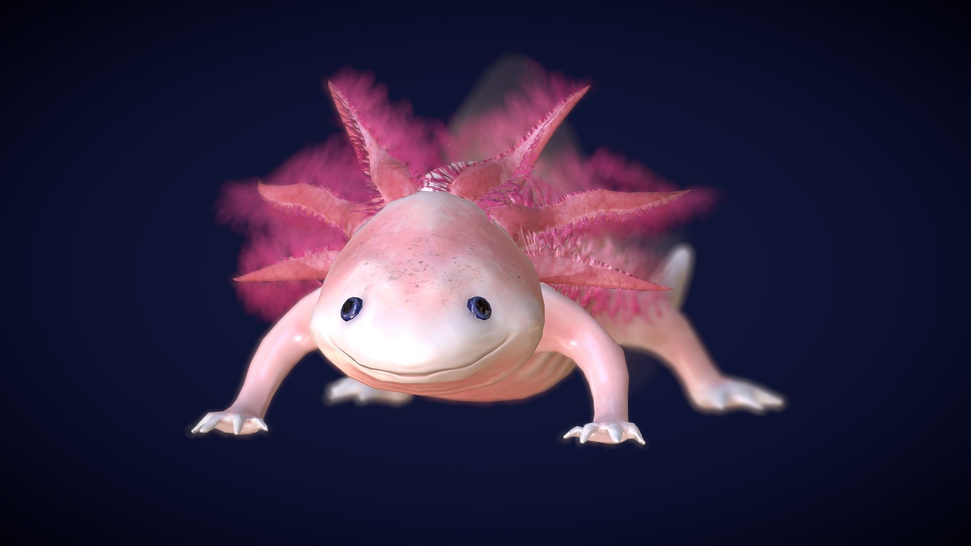 Axolotl - Buy Royalty Free 3D model by Karolina Renkiewicz ...