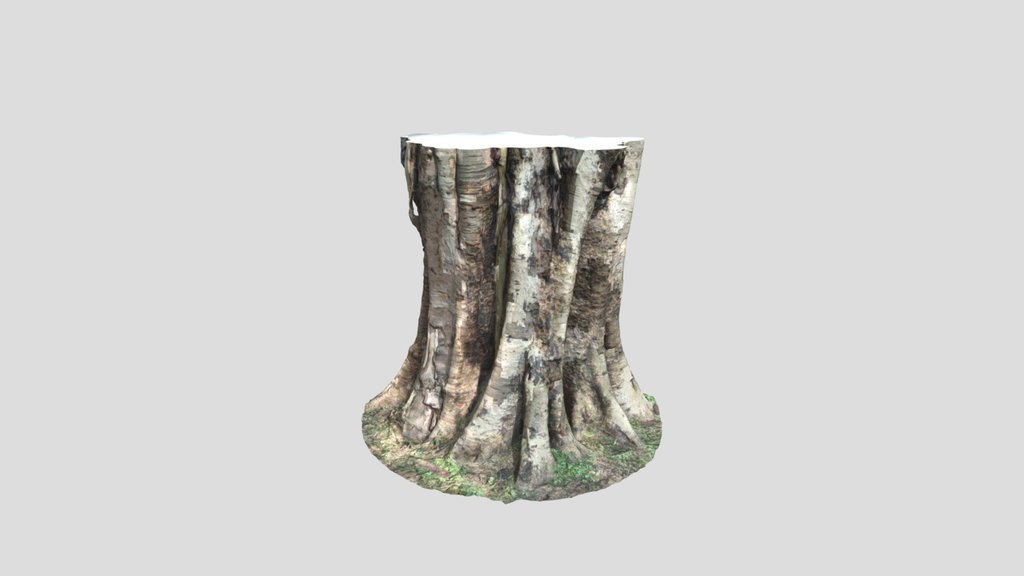 Board Tree