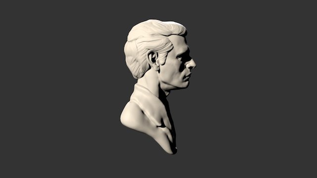 12 Portrait 3D Model