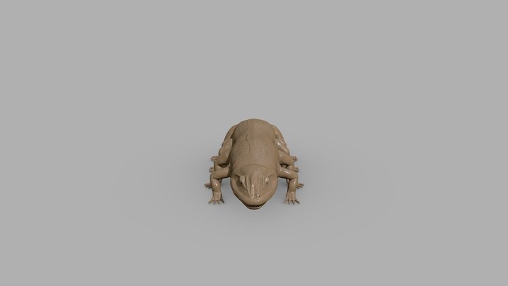 Large Amphibian 3D Model