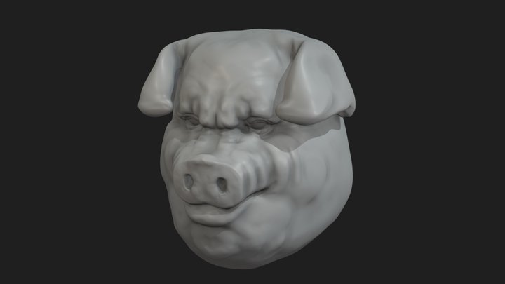 Oinker head Sculpt 3D Model