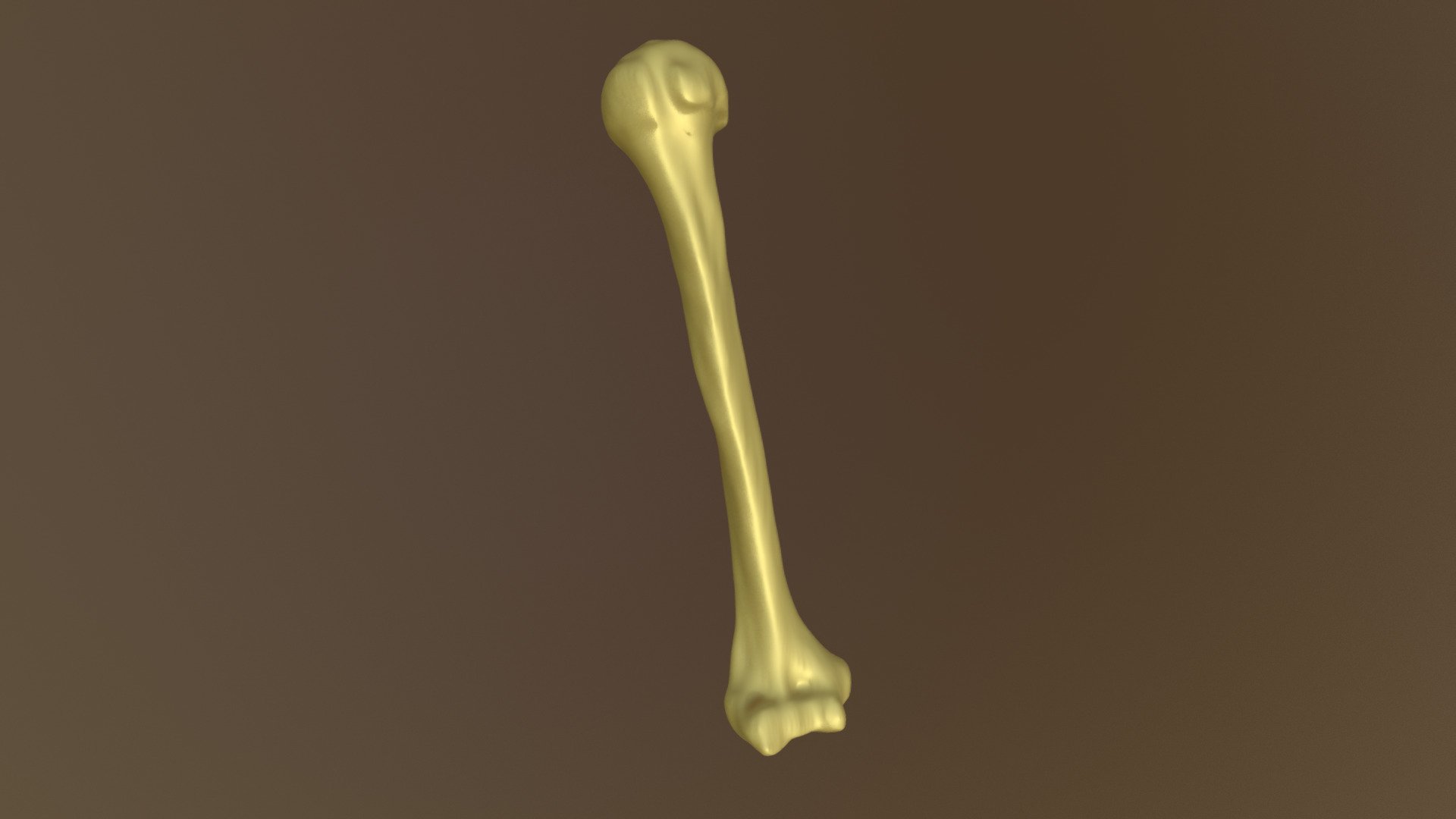 9656m R Humerus - 3d Model By Mark Malham (@mmalham) [d134030] - Sketchfab