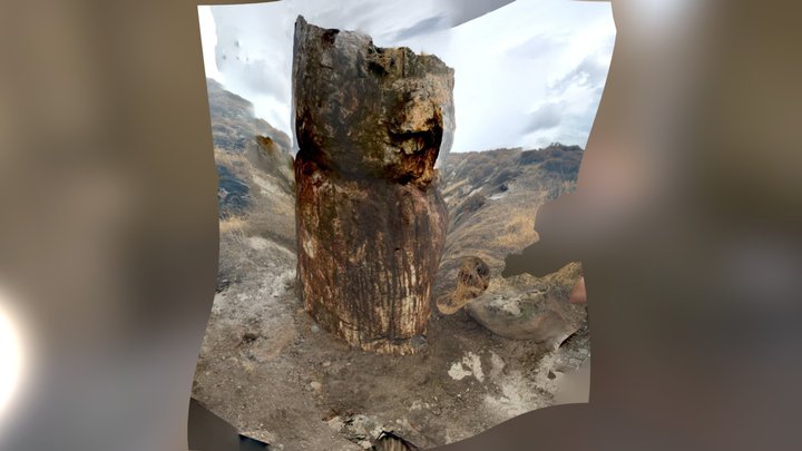 Petrified Tree 3D Model