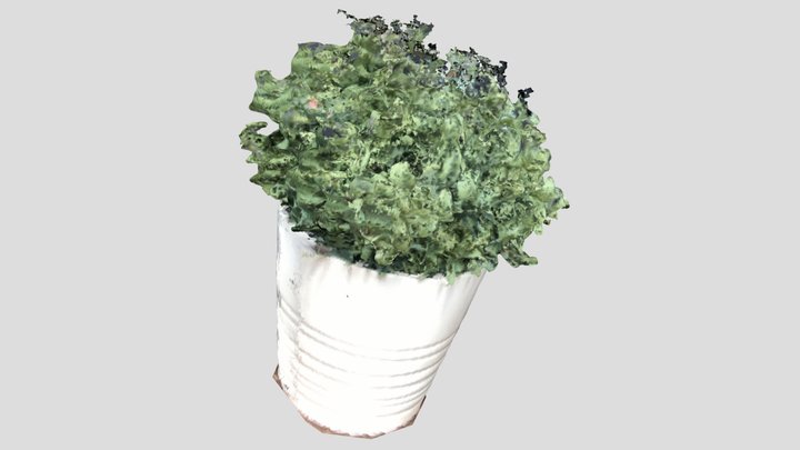 Shrubbery 3D Model