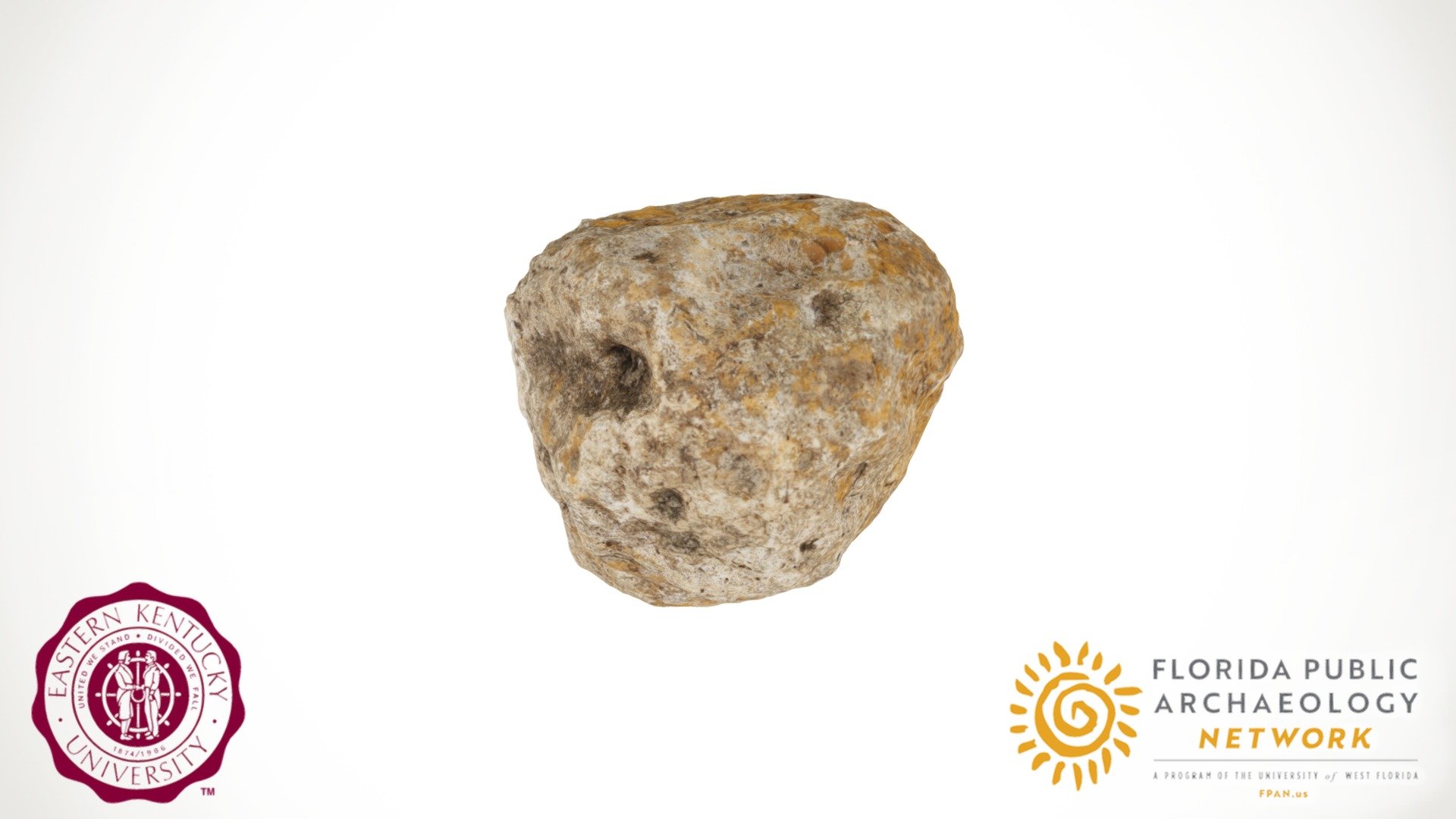 Hammerstone, Tomoka Mound and Midden Complex 3D model by Florida Public Archaeology Network
