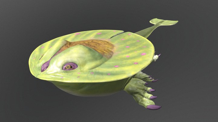 Lotus Frog 3D Model