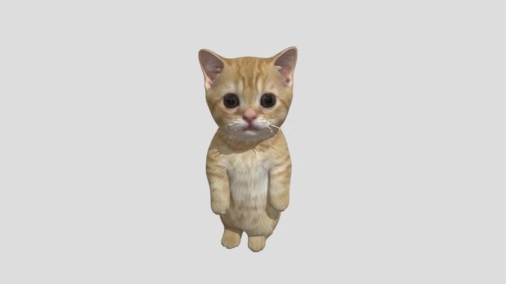 Standing Meme Cat