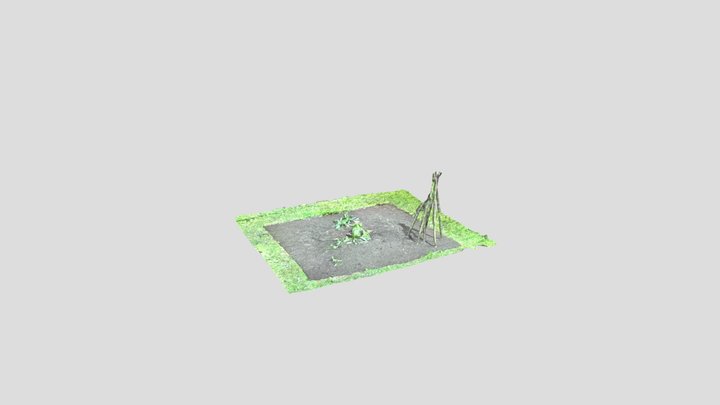 Askham Bryan allotment 3D Model
